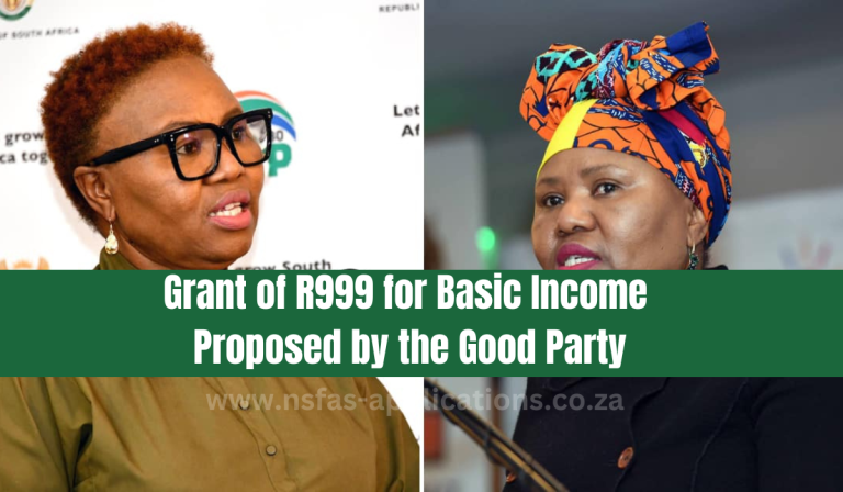 Grant of R999 for Basic Income Proposed by the Good Party