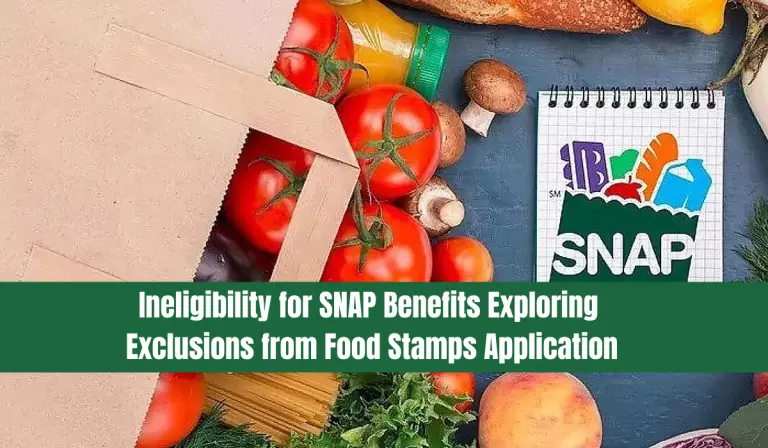 Ineligibility for SNAP Benefits: Exploring Exclusions from Food Stamps Application