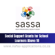 Social Support Grants for School Learners Above 18