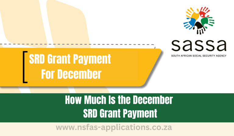 How Much Is the December SRD Grant Payment?