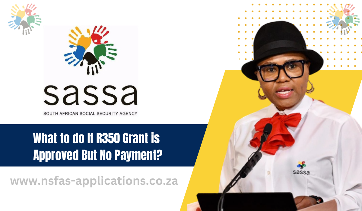 What to do If R350 Grant is Approved But No Payment?